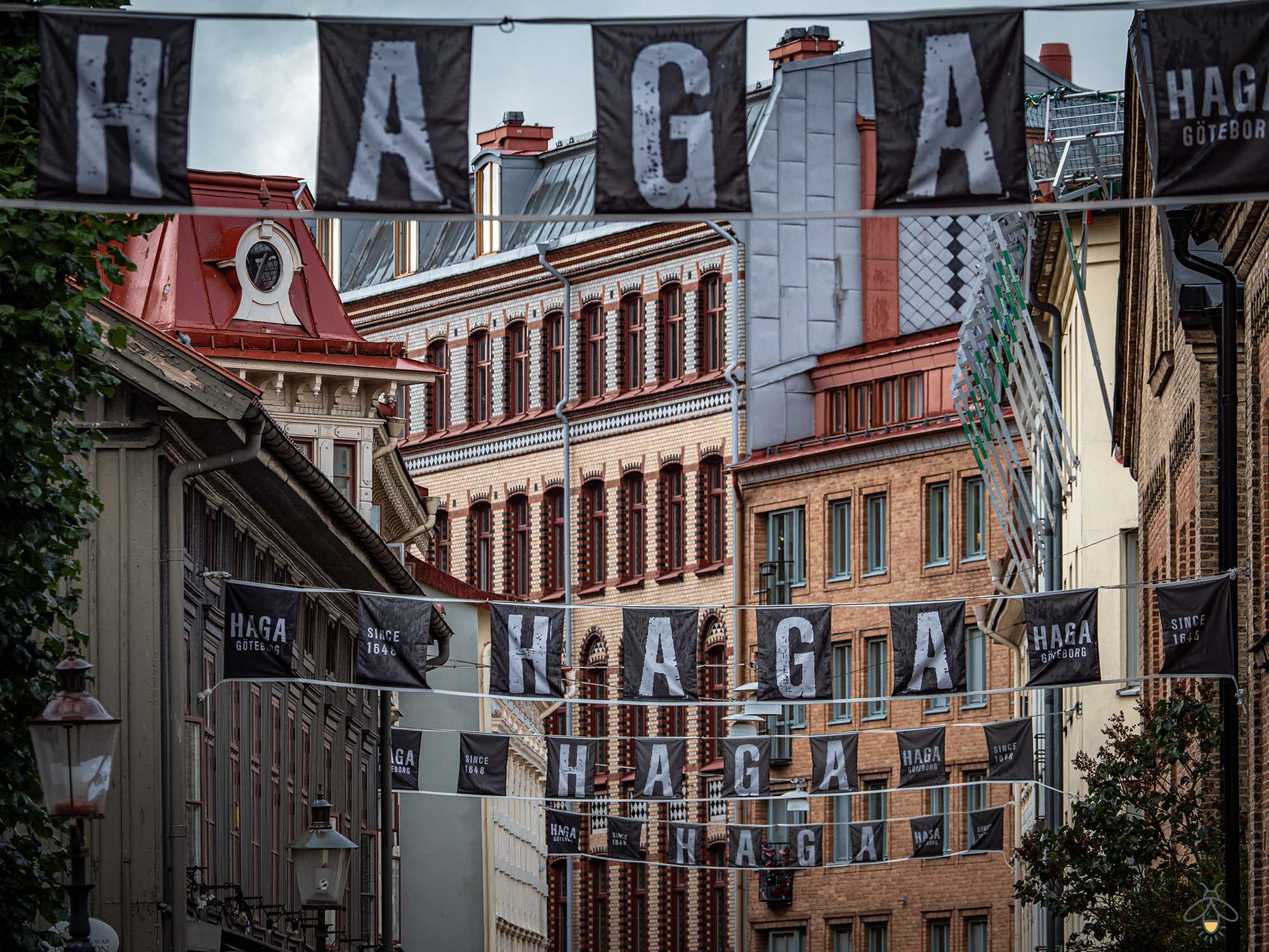 Haga